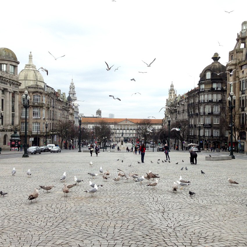 Yay, Porto! #4 – Mercado do Bolhão e dia chuvoso