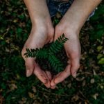 10 formas de poupar dinheiro e ser amigo do ambiente ao mesmo tempo
